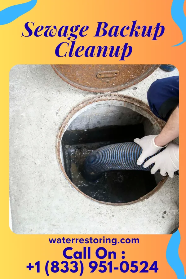Sewage Backup Cleanup in Marietta, OK