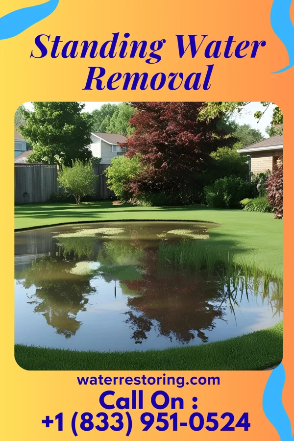 Standing Water Removal in Marietta, OK